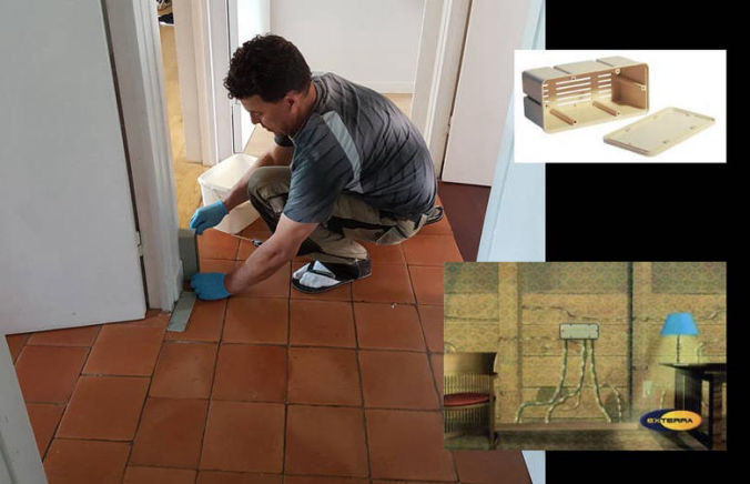 Traitement termites et inspection des pièges EXTERRA