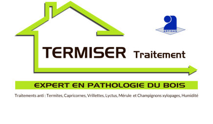 TERMISER Traitement termites en Gironde