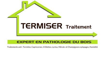 TERMISER Traitement termites en Gironde