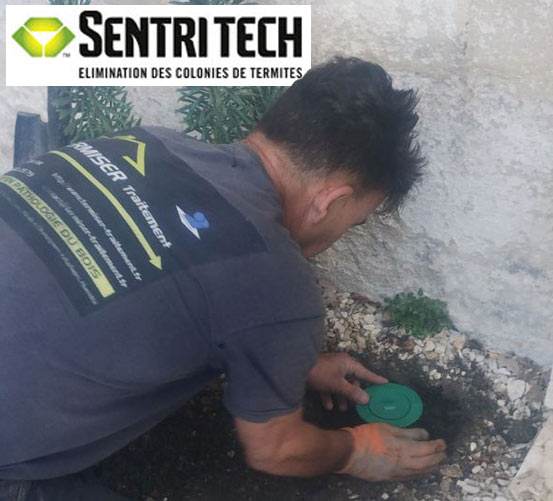 Traitement termites et inspection des pièges ©SENTRI TECH
