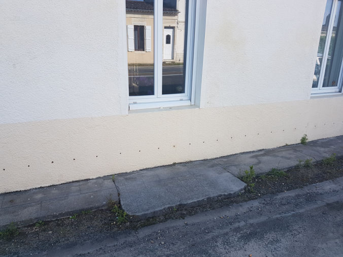 Traitement termites percage des murs