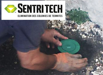 Termiser traitement et les pieges anti termites ©SENTRI TECH
