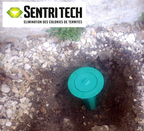 Durable et pro-environnementaux, pièges appâts ©SENTRI TECH